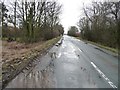 Hillam Common Lane, looking eastwards