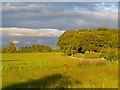 Farmland and woodland, St Cuthbert Without