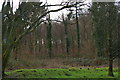 SU9212 : Droke: view into the woods from the Forestry Commission car park by Christopher Hilton