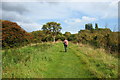 Royal Military Canal Path