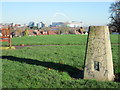 Trig point at One Tree Hill