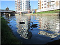 Grand Union Canal, Alperton