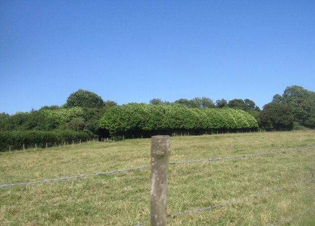 Farmland east of Abbotstone