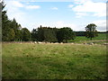 NY5526 : Farmland near Wetheriggs by David Purchase