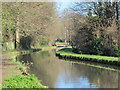 The New River south of High Street, Stanstead St. Margaret