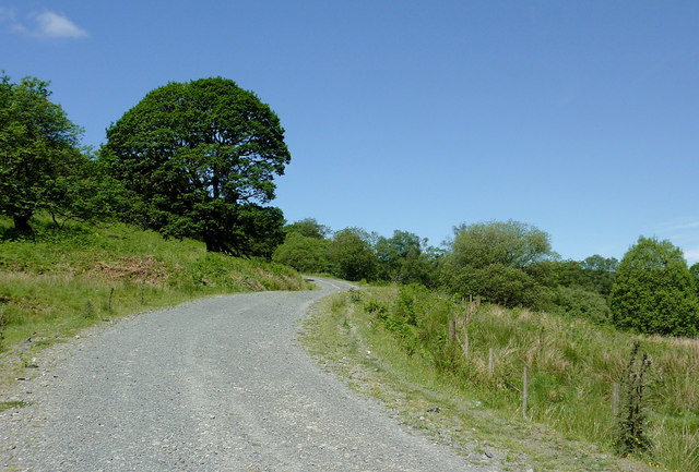 Forestry road south-west  of Abergwesyn, Powys