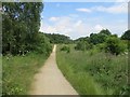 Telford Town Park