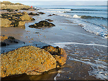 NH7458 : Low tide on the Rosemarkie Coast by Julian Paren