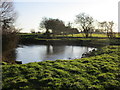 Frozen pond, Rimswell