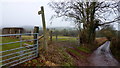 Footpath and lane