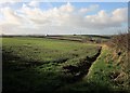 Field near Tredinnick