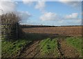 Field near Tredinnick