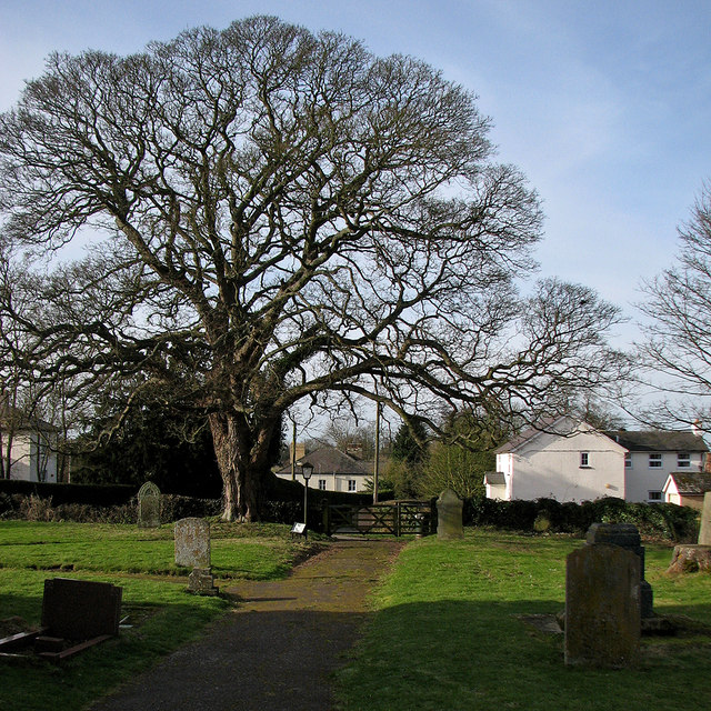 In Dullingham churchyard