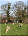 Dullingham churchyard and Church Lane