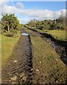 Track on Letter Moor