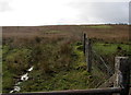 Moorland on the south side of Hirwaun Road, Penywaun