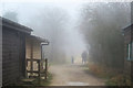 SP9314 : Going home in the fog at College Lake, Tring by Chris Reynolds