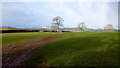 Rolling farmland north of Llanddew