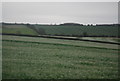 Farmland near Swayfield Lodge