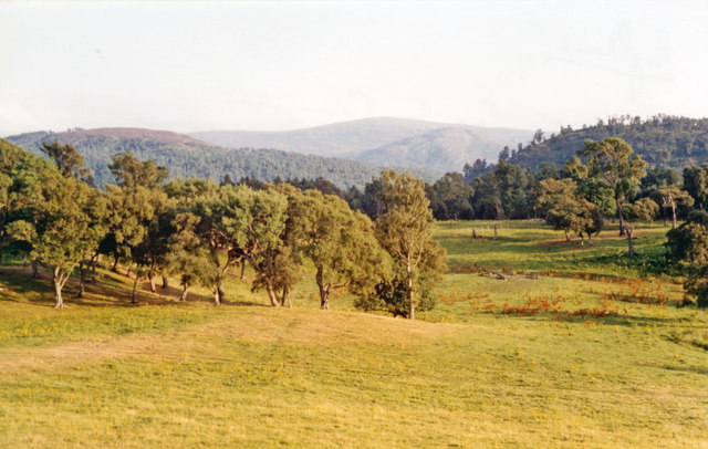 Cairngorms from A9 near Kingussie, 1991
