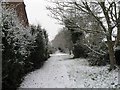 Footpath in the snow
