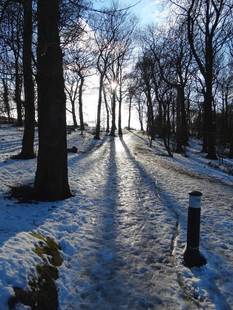 Icy path in Graves Park, Sheffield