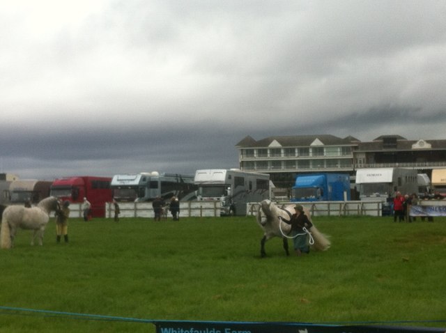 Horse show at Ayr Racecourse