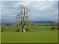 Farmland, Calthwaite, Hesket