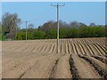 Farmland, Brackenburgh, Hesket