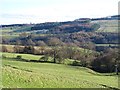 Valley of the River Burn