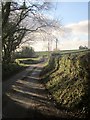 Lane near South Hendra Farm