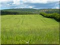 Farmland, Hesket