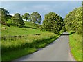 NY5042 : A road, Lazonby by Andrew Smith