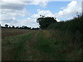SP6975 : Farmland and hedgerow near Cottesbrooke Park by JThomas