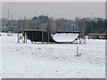 SU9859 : Skateboard Park by Alan Hunt
