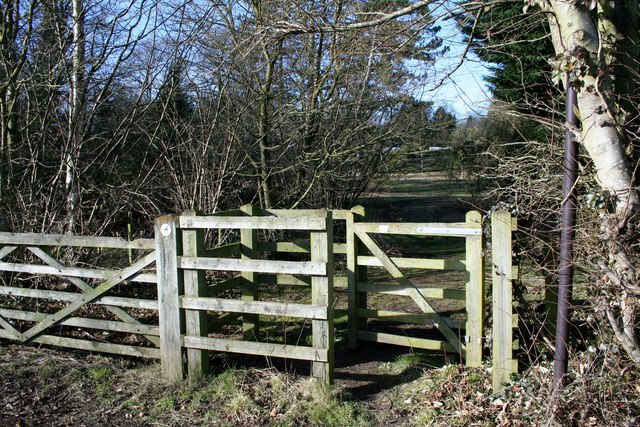 Confusion of Gates