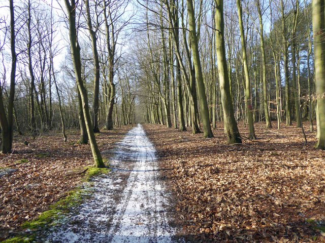 sherwood forest mtb trails