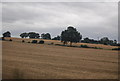 Field in a hedge