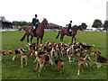 SJ9525 : Staffordshire County Show: huntsmen and hounds by Jonathan Hutchins