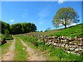 Track, Edenhall, Langwathby