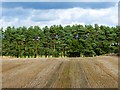 Farmland, Edenhall, Langwathby