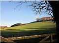 Hillside near West Benoak