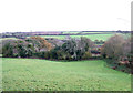 Grazing near Cheston