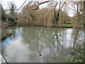 Pond at Waverleymill Bridge