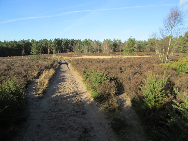 Sandy track on Hankley Common © Peter S cc-by-sa/2.0 :: Geograph ...