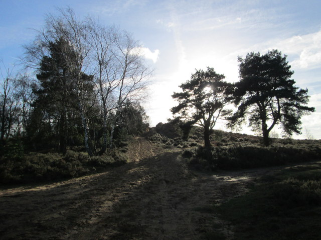 Steep and sandy bridleway up Yagden Hill