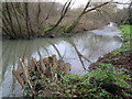 River Wey at Snailslynch