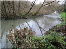SU8547 : River Wey at Snailslynch by Peter S