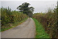 Narrow Suffolk Lane