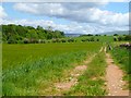 Track and farmland, Skirwith, Culgaith